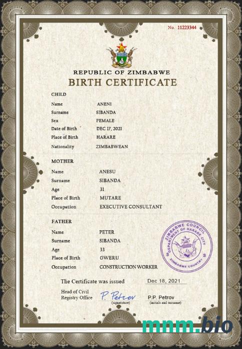 Zimbabwe rekord życiowy narodziny certyfikat PSD szablon